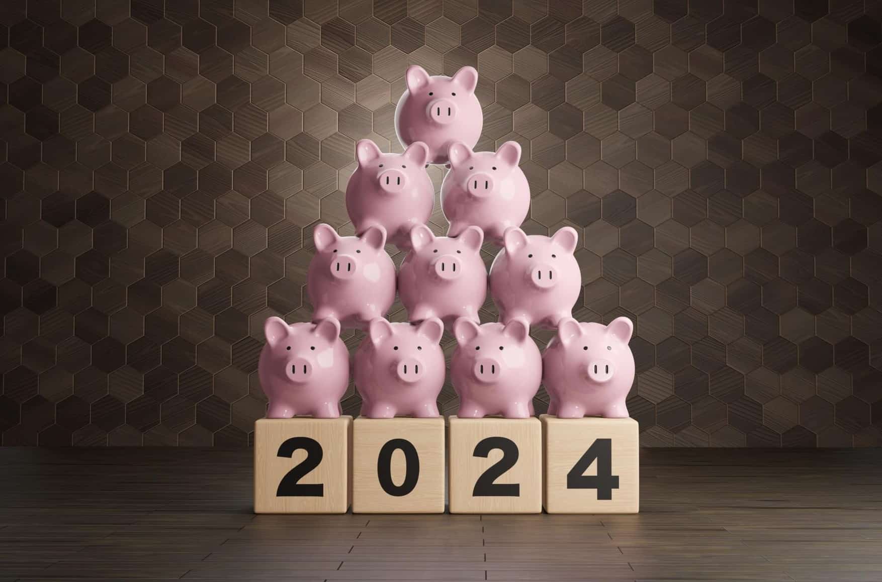 Budget summary | Perrigo Consultants